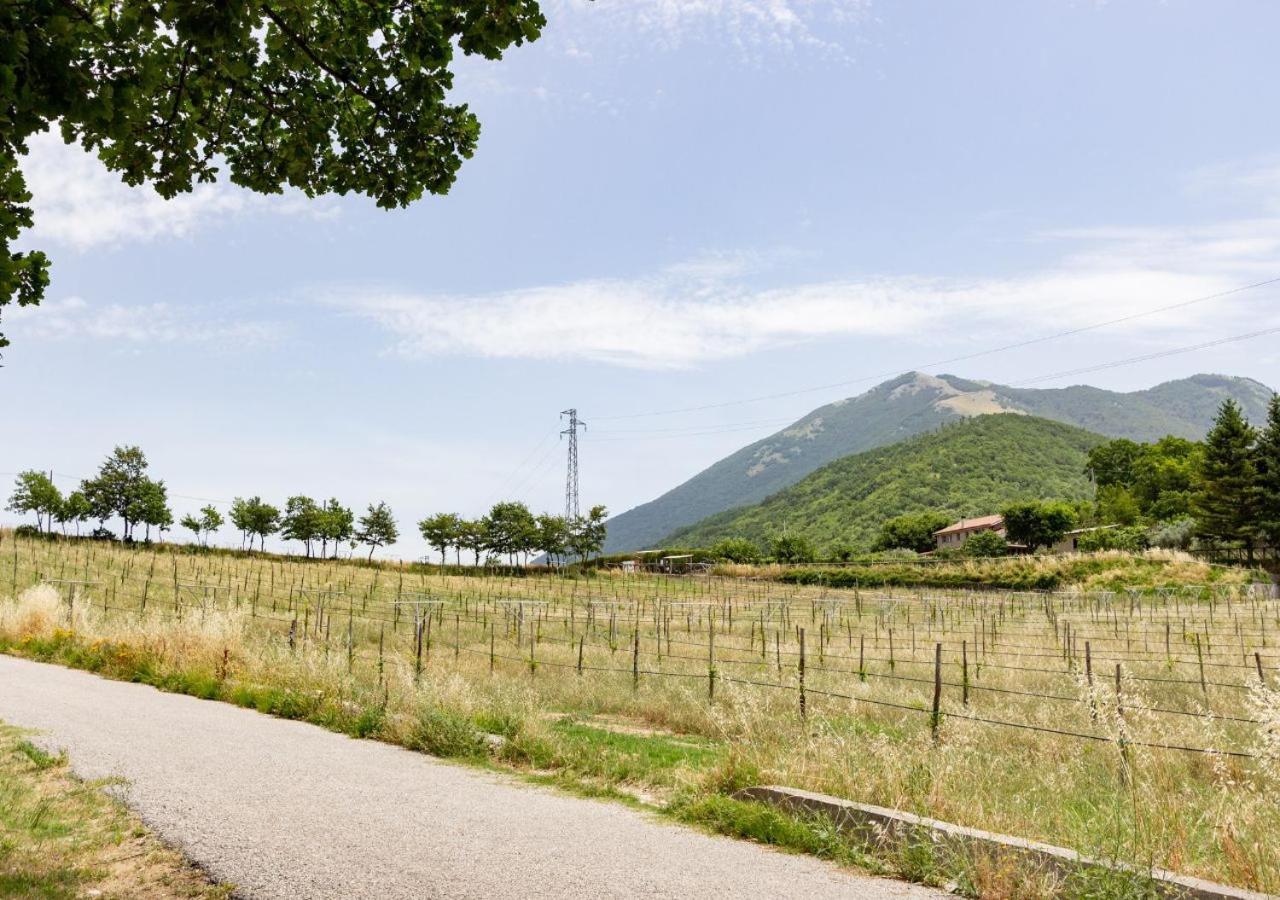 Agriturismo La Vammora Laviano Екстериор снимка